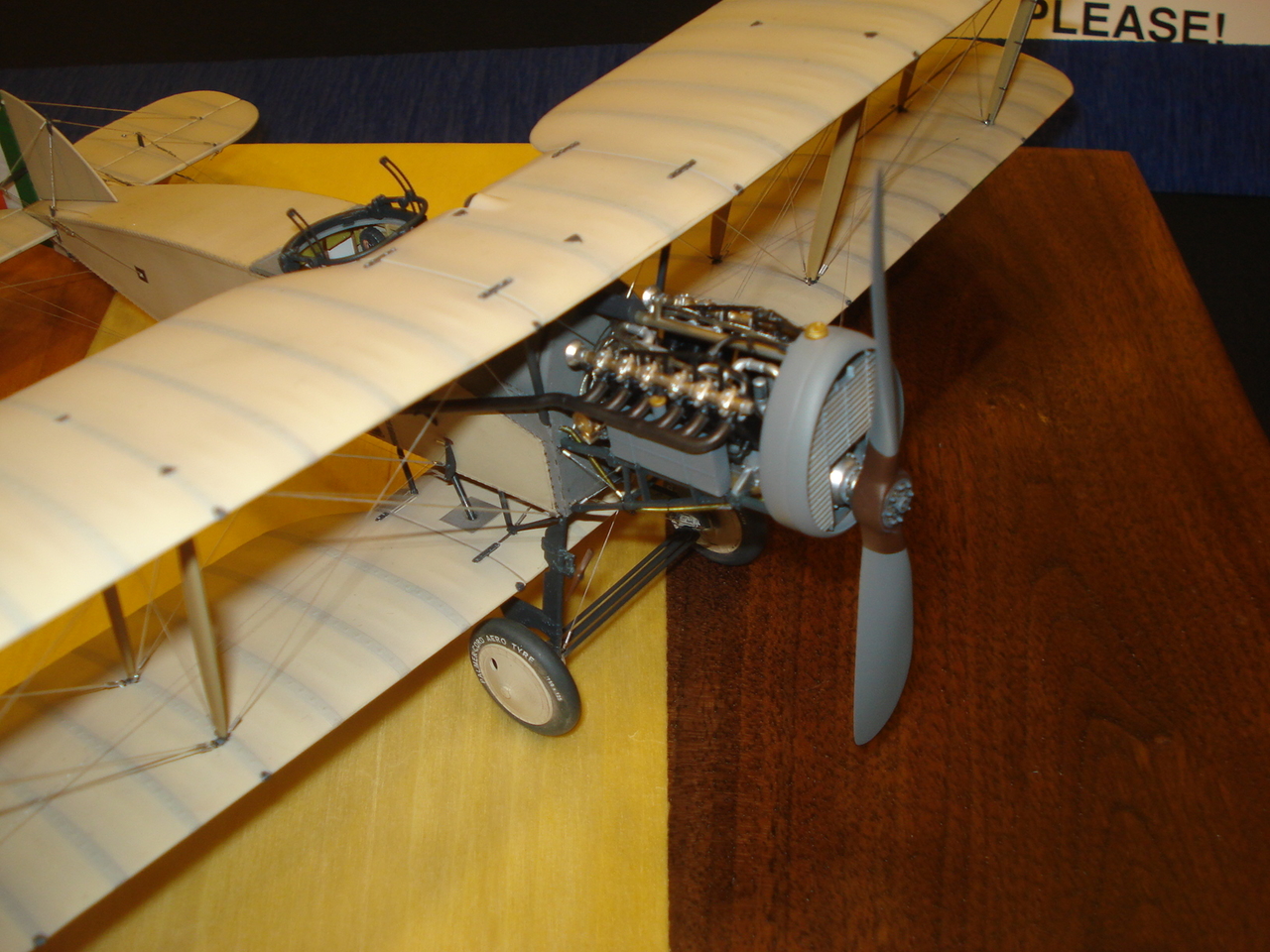 DSC06696~0.JPG