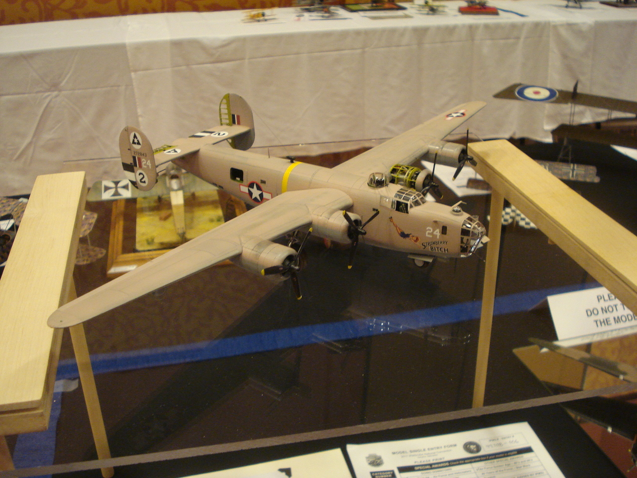 DSC06718~0.JPG