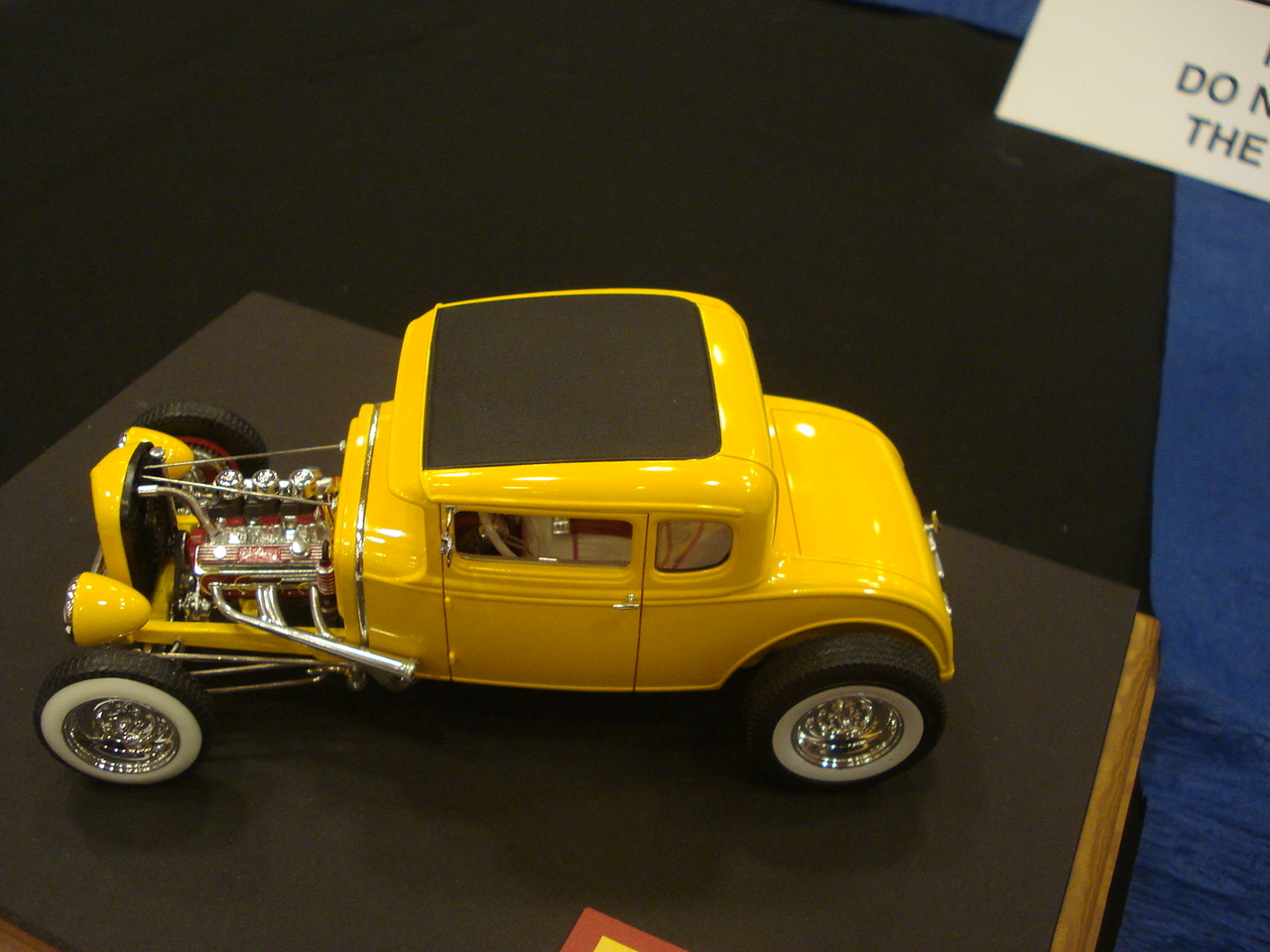 DSC06769~1.JPG