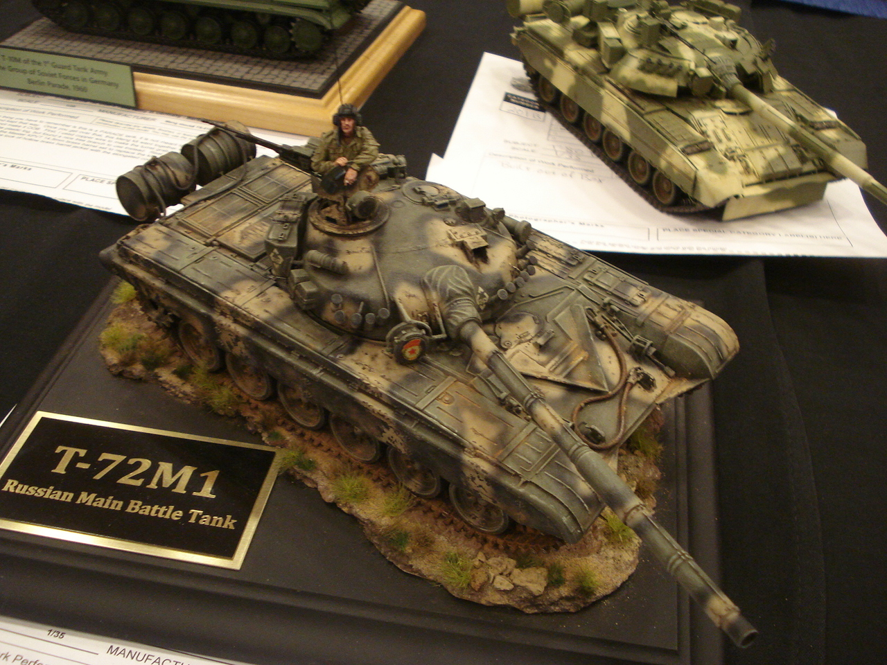DSC06818~0.JPG