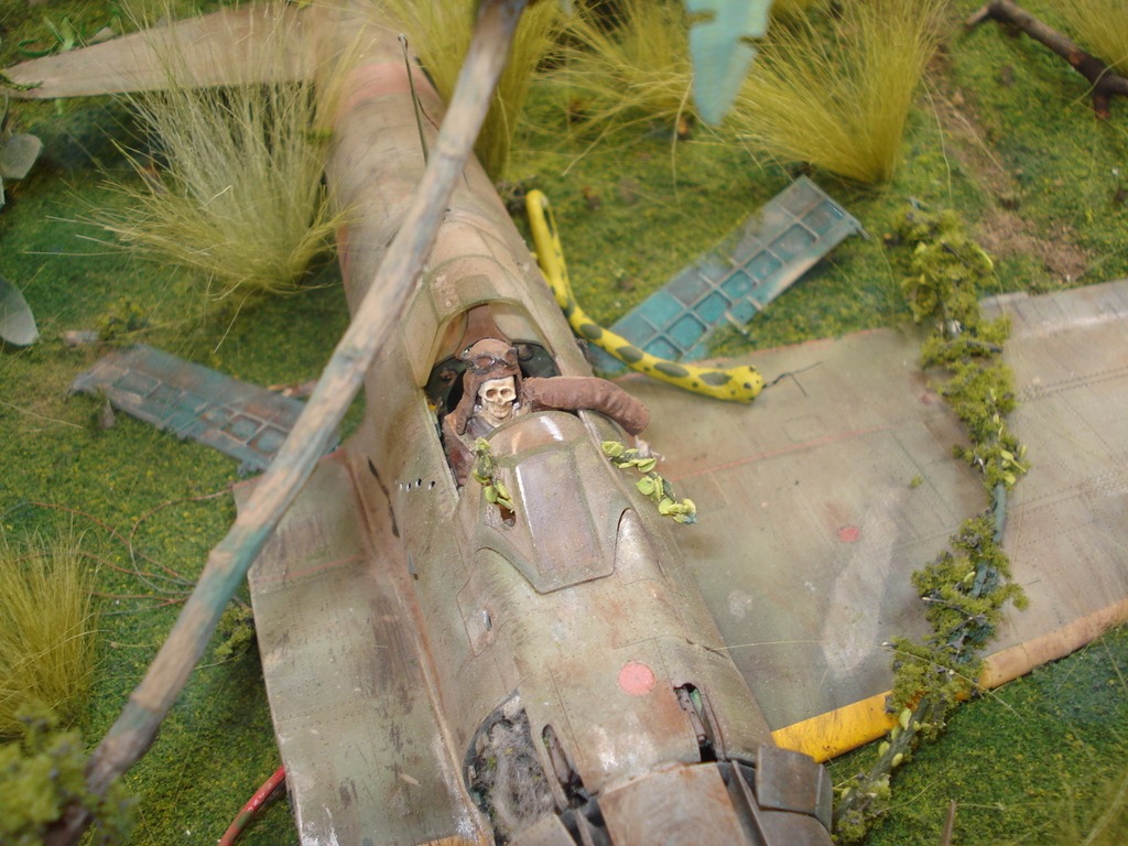 DSC08144.JPG