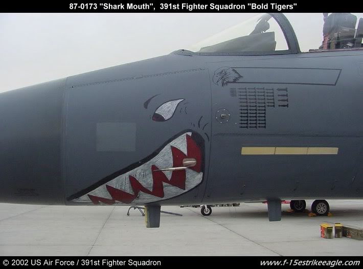 F-15E25252087-0173.jpg