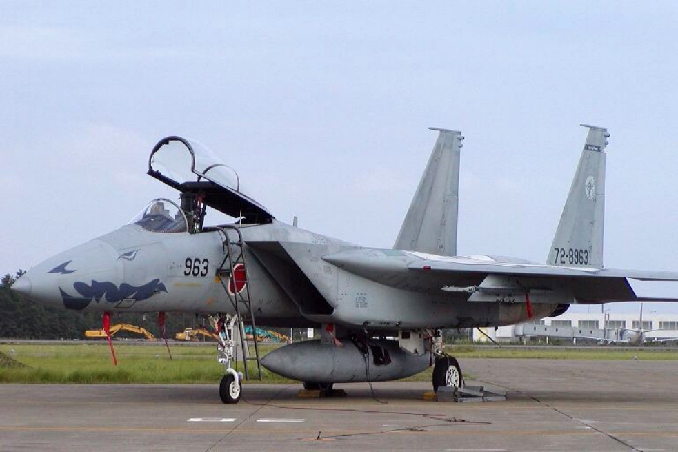 F-15J252520special252520marking252520Nose.jpg