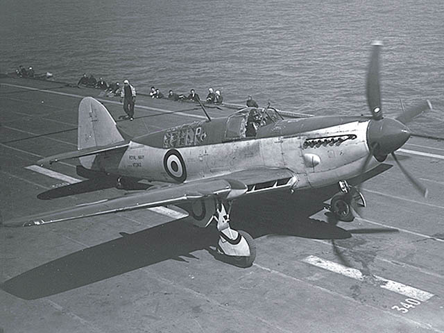 Fairey_Firefly_ExCC.jpg