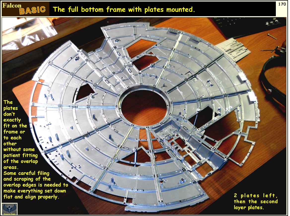 Falcon-Basic-170.jpg