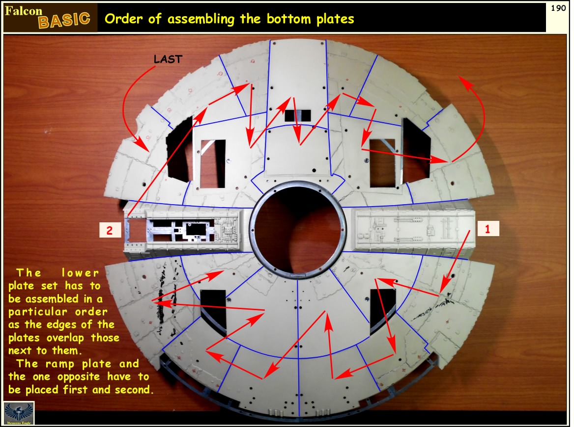 Falcon-Basic-190.jpg