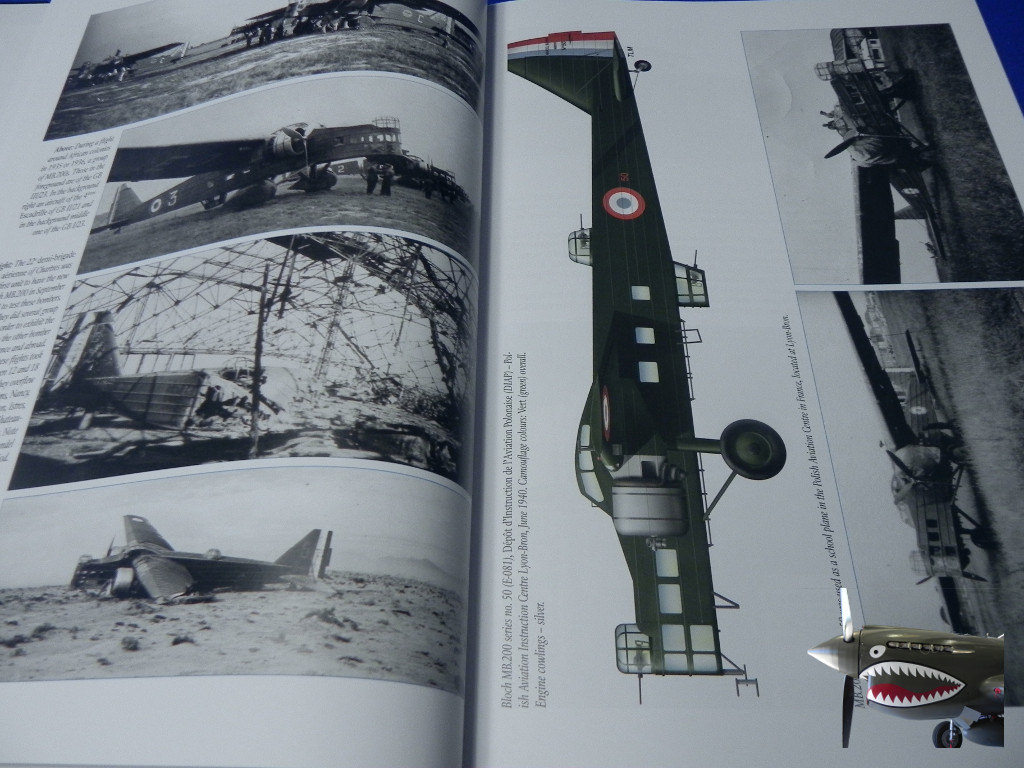 FrenchBomberofWWIIMushroom01.JPG