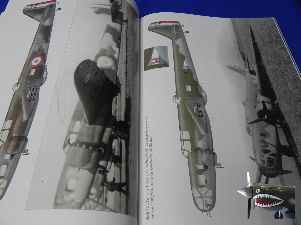FrenchBomberofWWIIMushroom04.JPG