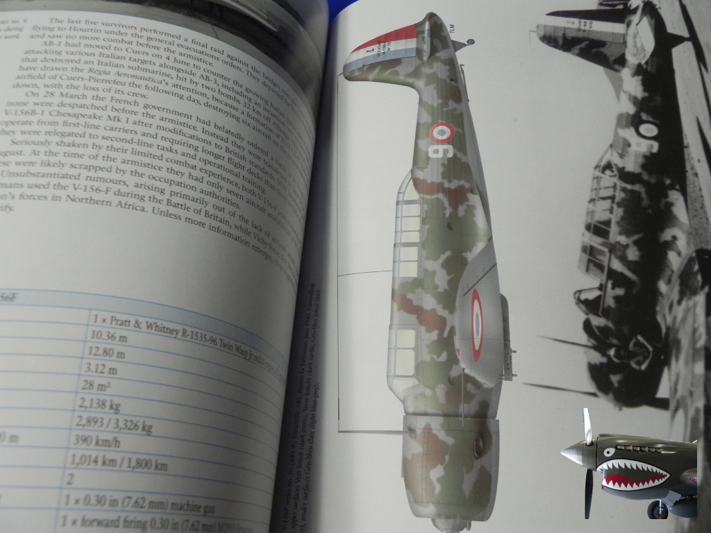 FrenchBomberofWWIIMushroom08.JPG