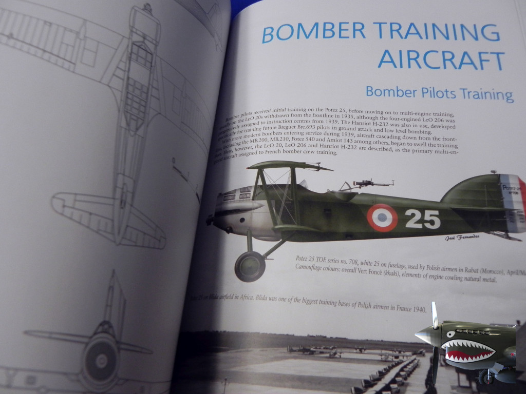 FrenchBomberofWWIIMushroom09.JPG
