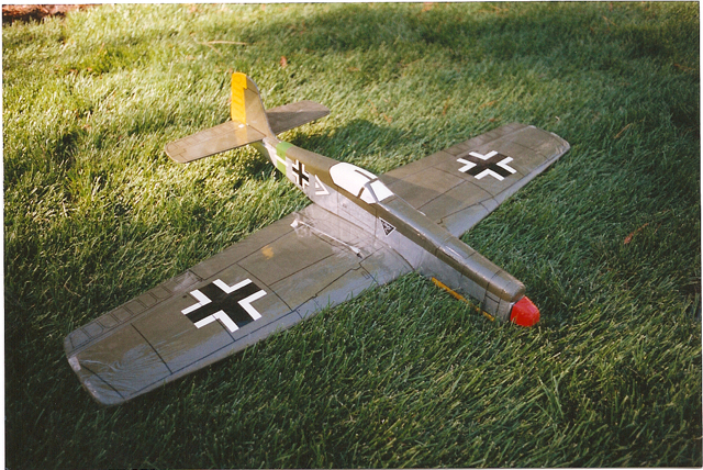 FW190_foam2.jpg