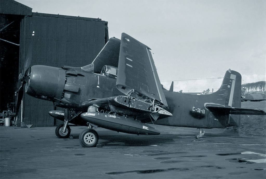 G-31-11_Skyraider_Gordon_Macadie_1280.jpg