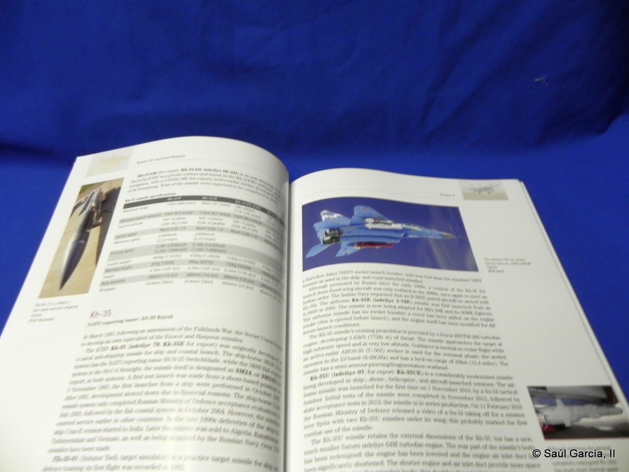 HarpiaRussiasAirLaunchedWeapons3.jpg