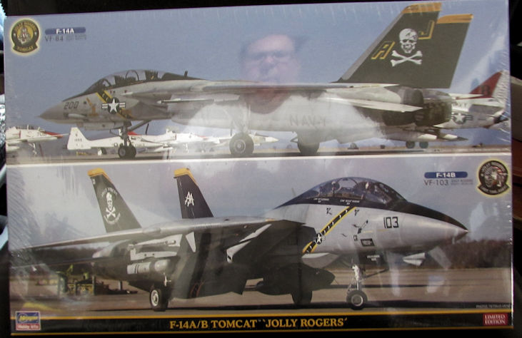 Hasegawa_F-14_Tomcat_Dual_KIt.jpg