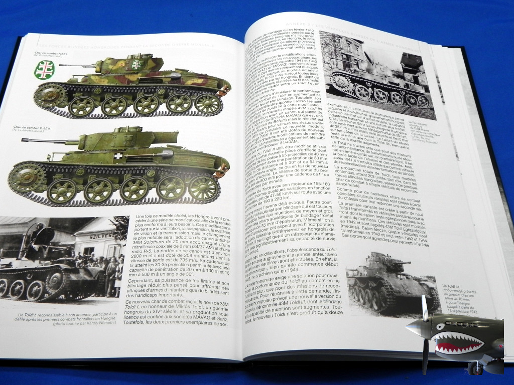 HeimdalHungarianArmoredForcesinWWII08.JPG