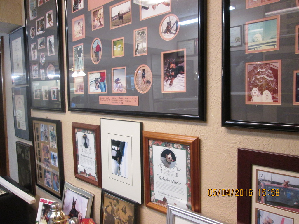 IMG_2423_zpsiaifm4sx-1.jpg