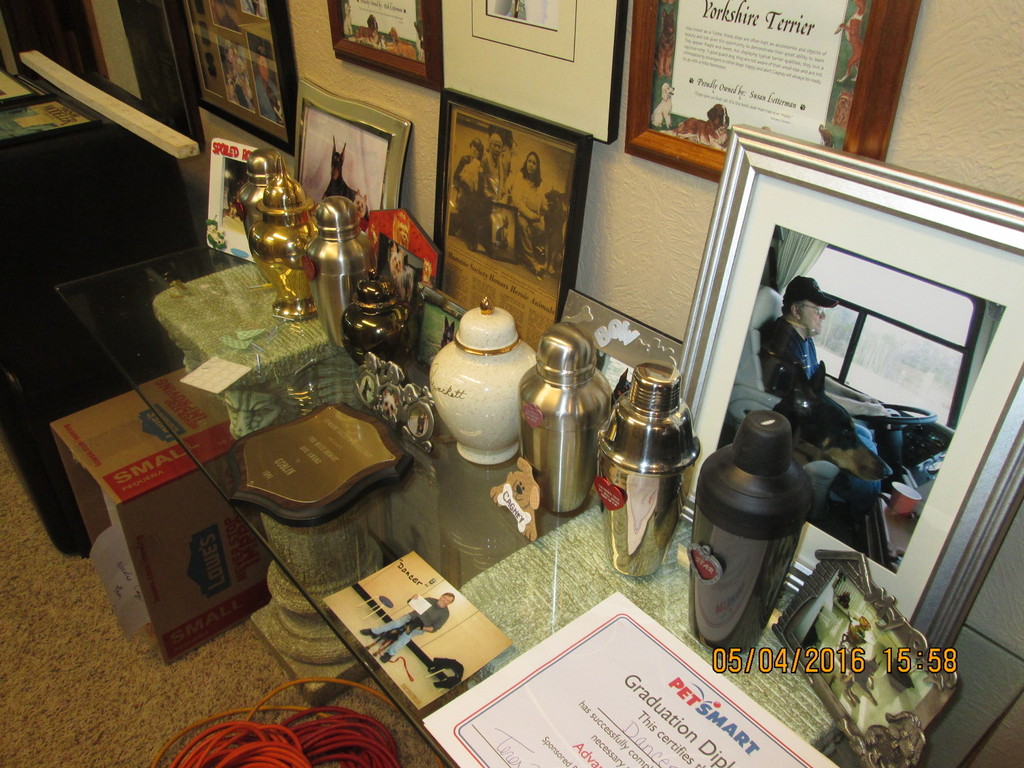 IMG_2424_zpsl7lnlvzg.jpg