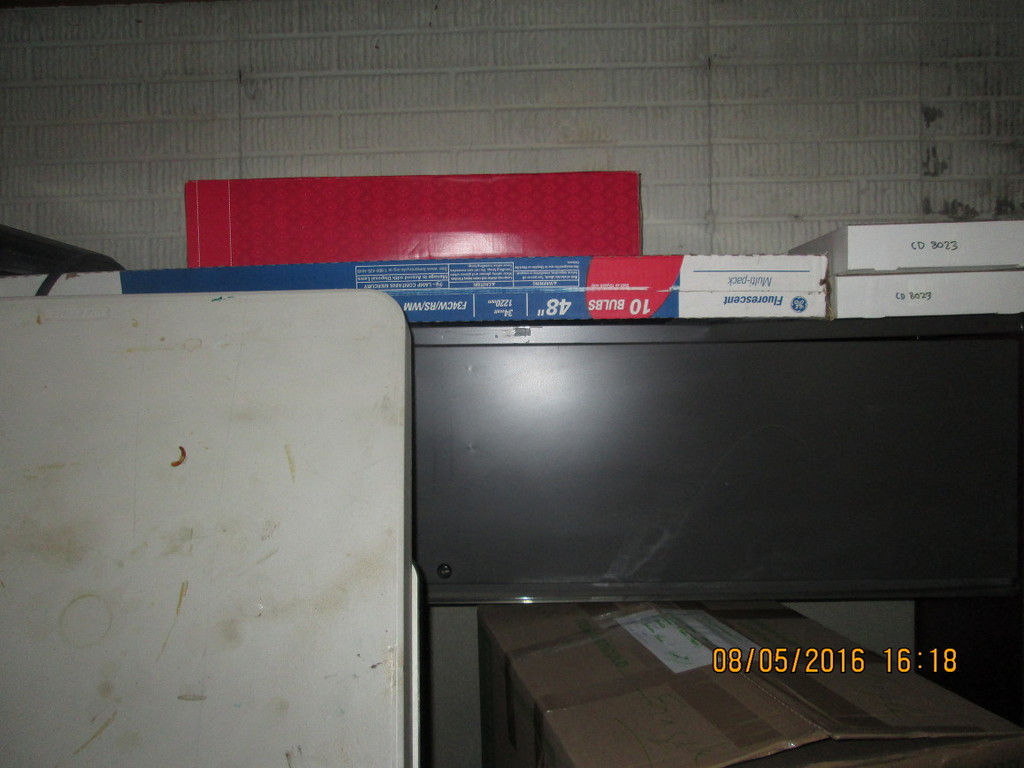 IMG_2587_zps1ugtenga.jpg