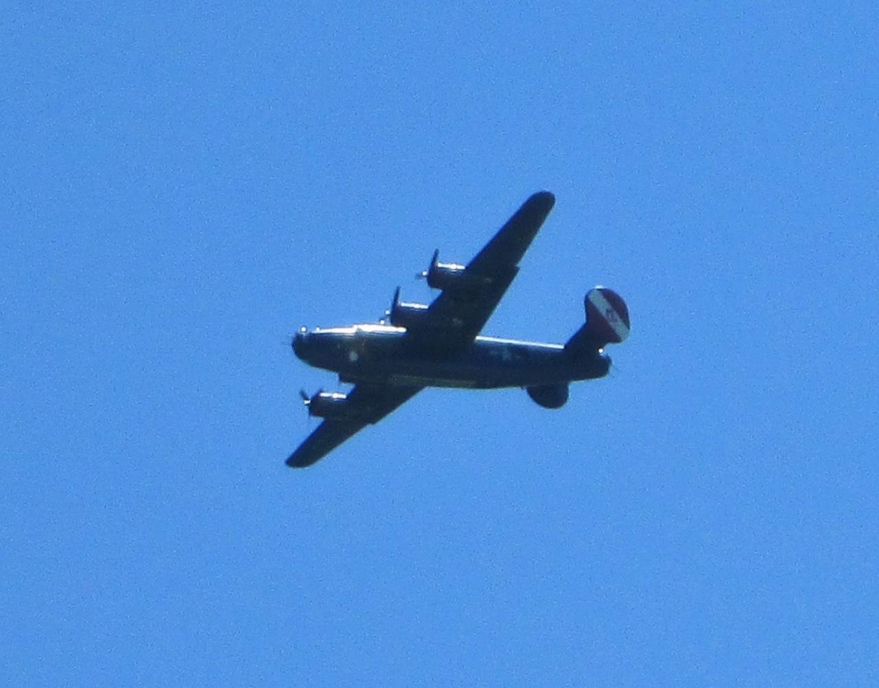 IMG_5850.JPG