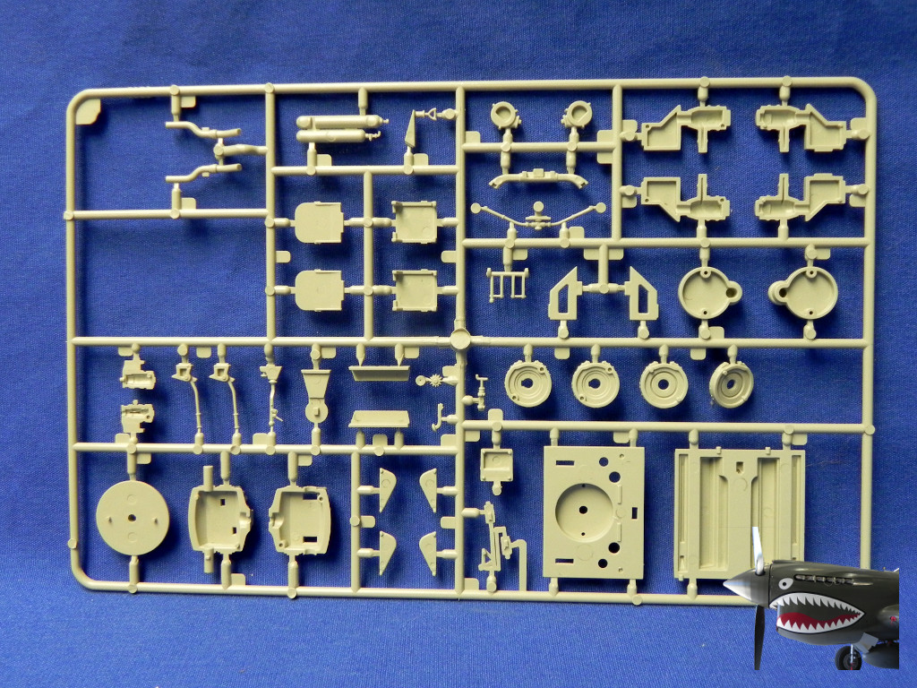 Italeri6545T3485SprueTreeErear.JPG