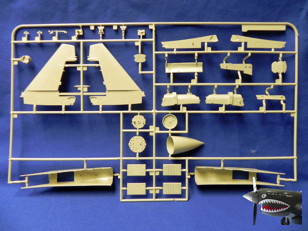 KH80142Su35SprueTreeD2.JPG