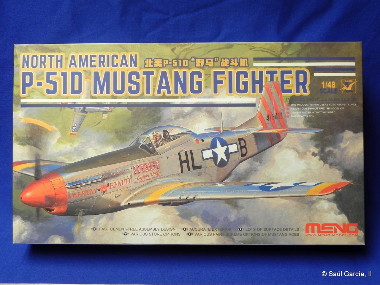 MengLS006P51DBoxArt.jpg