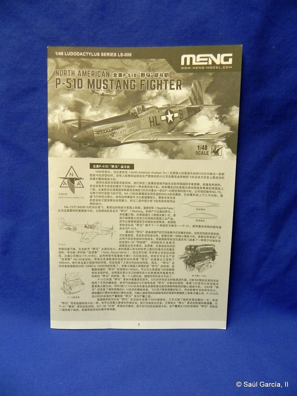 MengLS006P51DInstructions.jpg