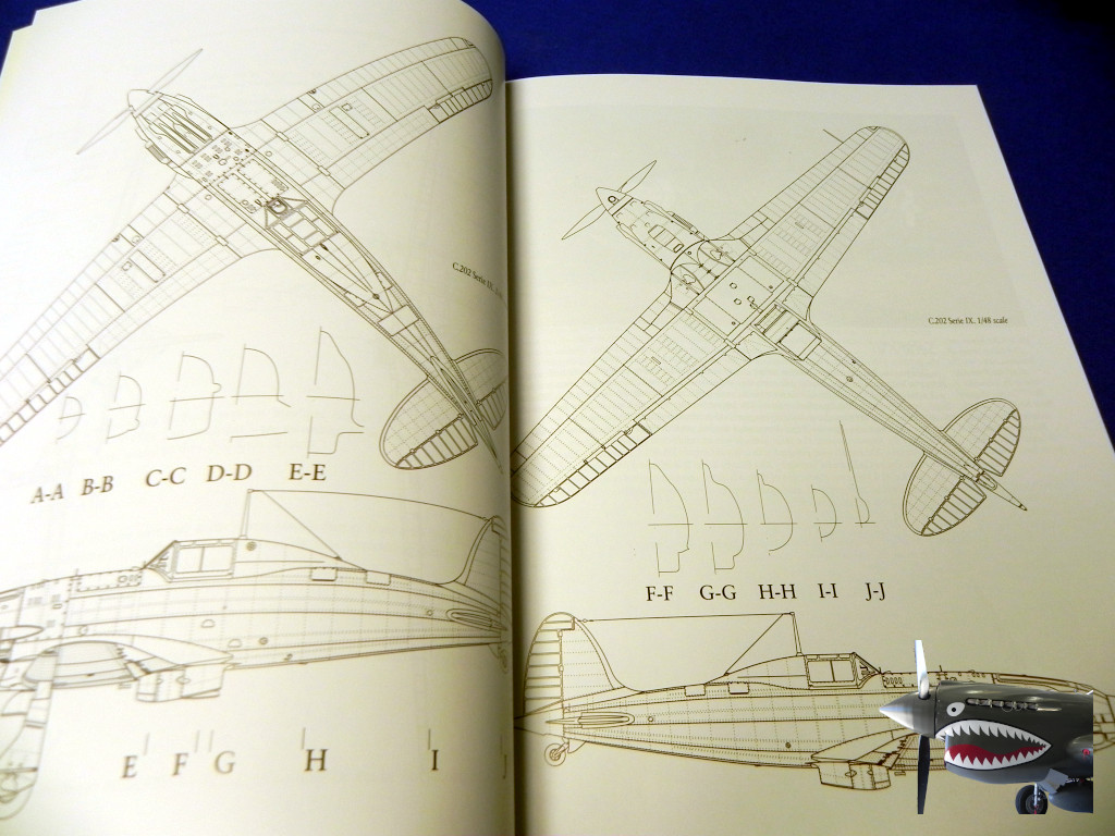 MMP8122MacchiC.202Folgore0103.JPG