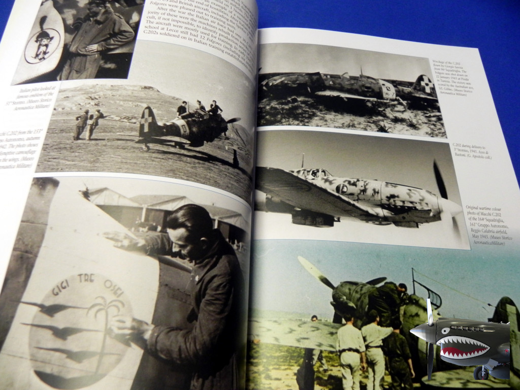 MMP8122MacchiC.202Folgore0104.JPG