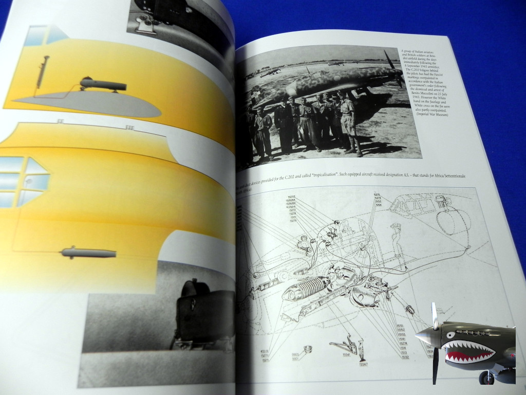 MMP8122MacchiC.202Folgore0107.JPG
