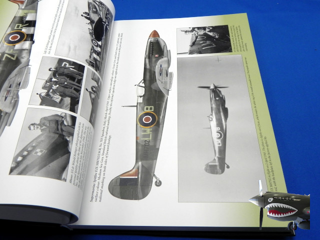 MMPPolishFighterColorsVol2c.JPG