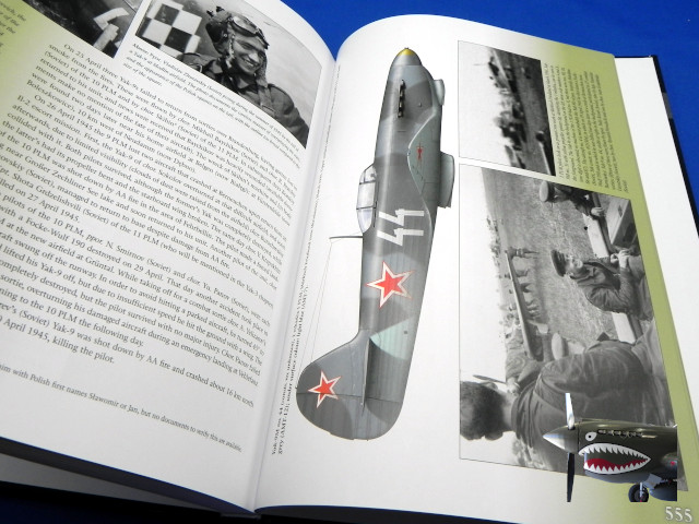 MMPPolishFighterColorsVol2g.JPG