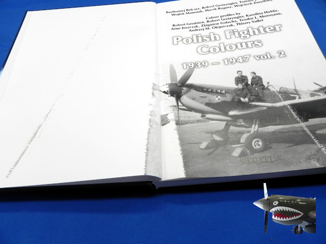 MMPPolishFighterColorsVol2zDamage.JPG