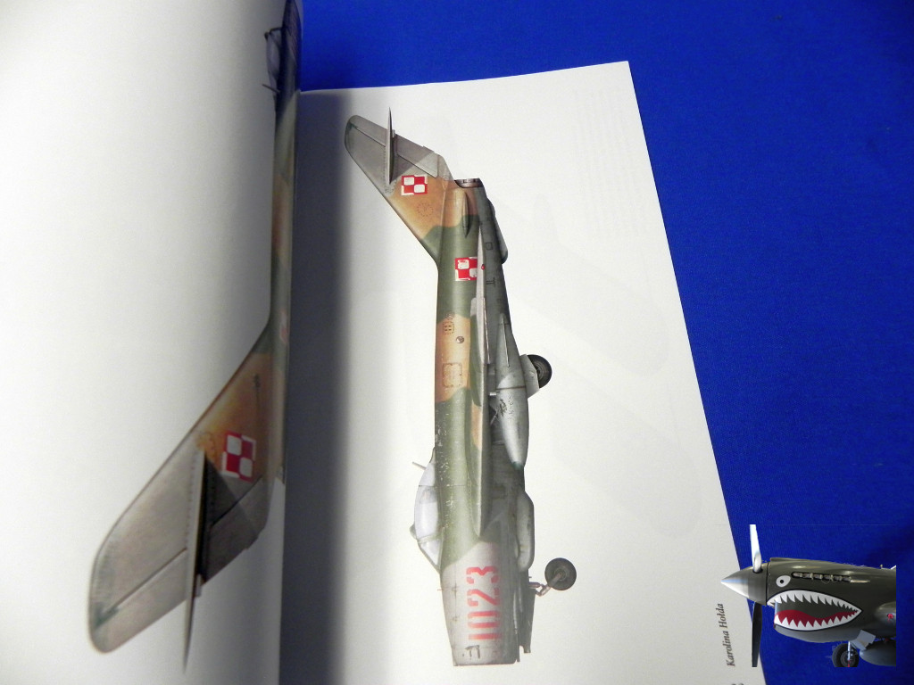 MMPSingle05MiG17LiM5F.JPG