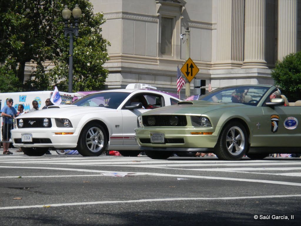 Mustangs04.jpg