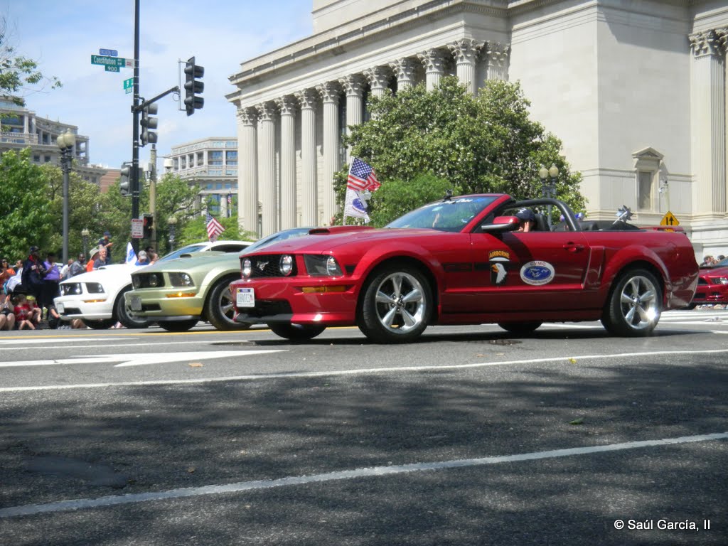 Mustangs05.jpg