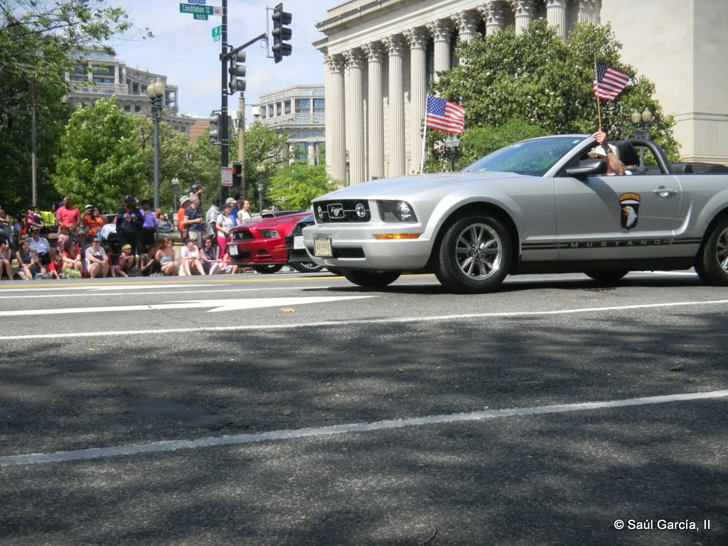 Mustangs06.jpg