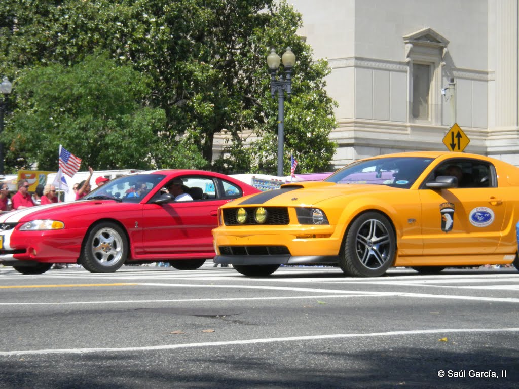 Mustangs07.jpg