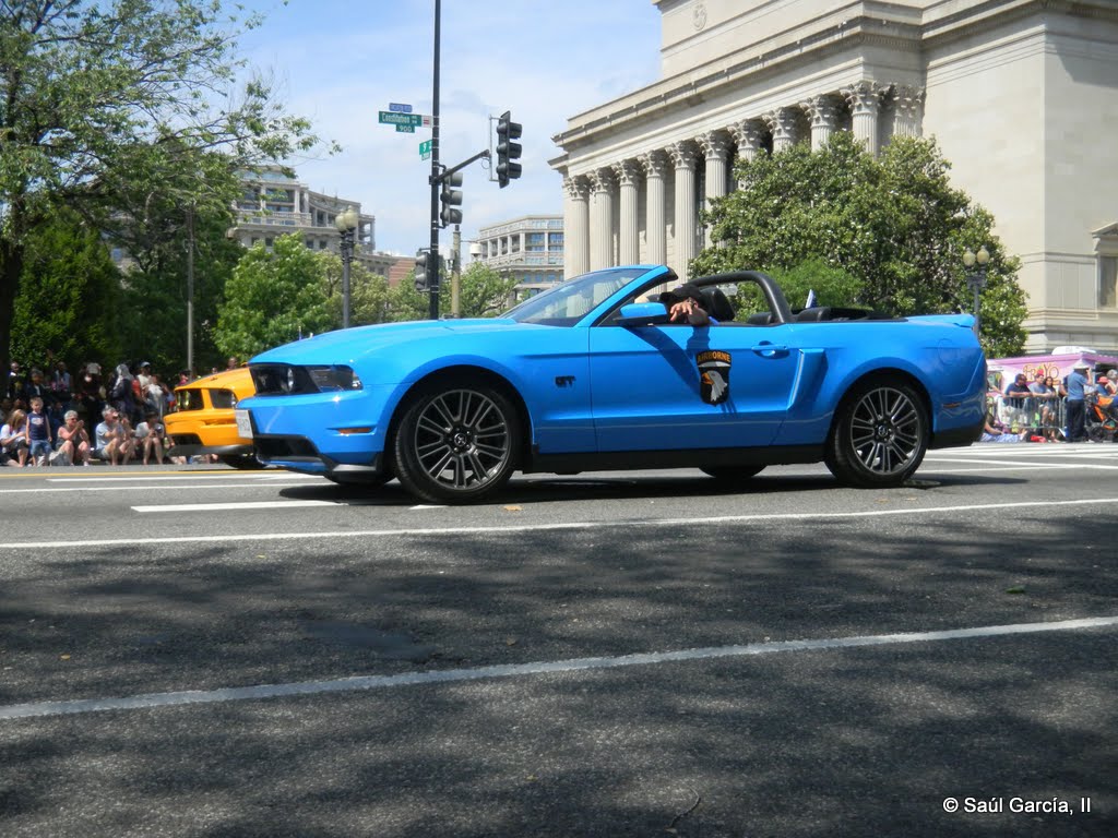 Mustangs08.jpg