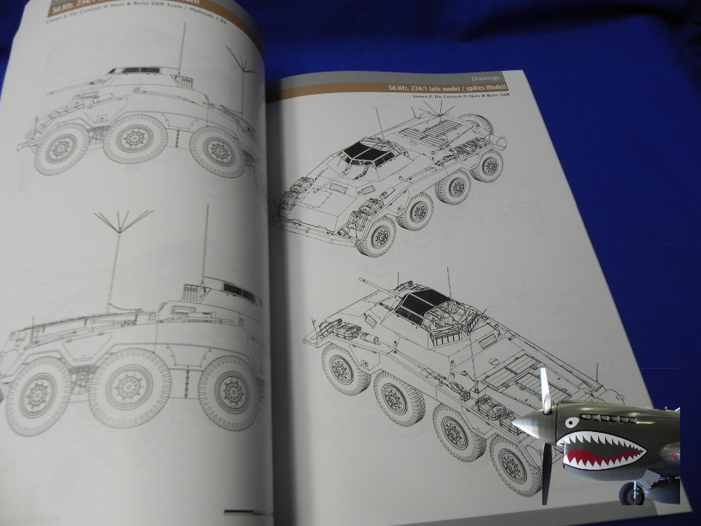 NB40SdKfz234e.JPG