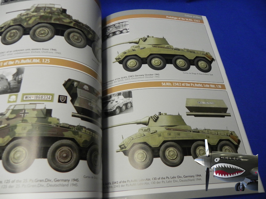 NB40SdKfz234f.JPG