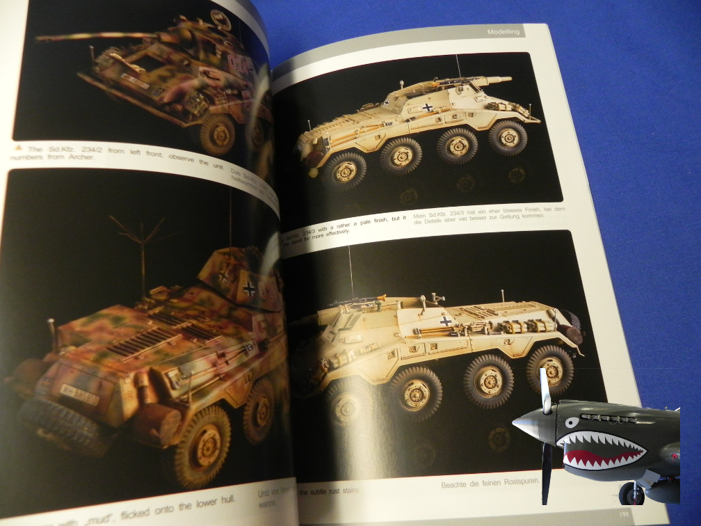 NB40SdKfz234i.JPG
