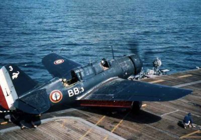 normal_Helldiver_Langevin_Indo059.jpg