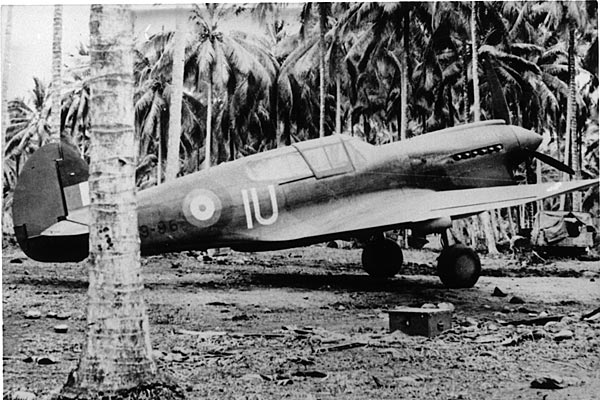 p-40-a29-96-76-sqn.jpg