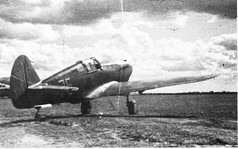 p-40-toma-1.jpg