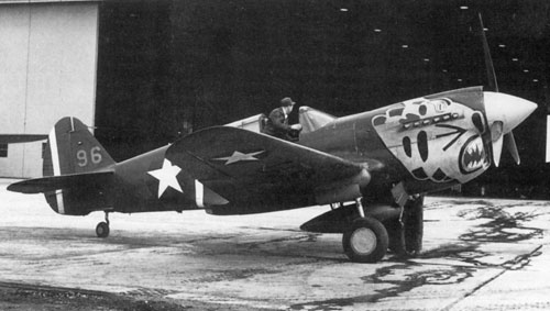 P40E-ALEUTIAN-bw.jpg