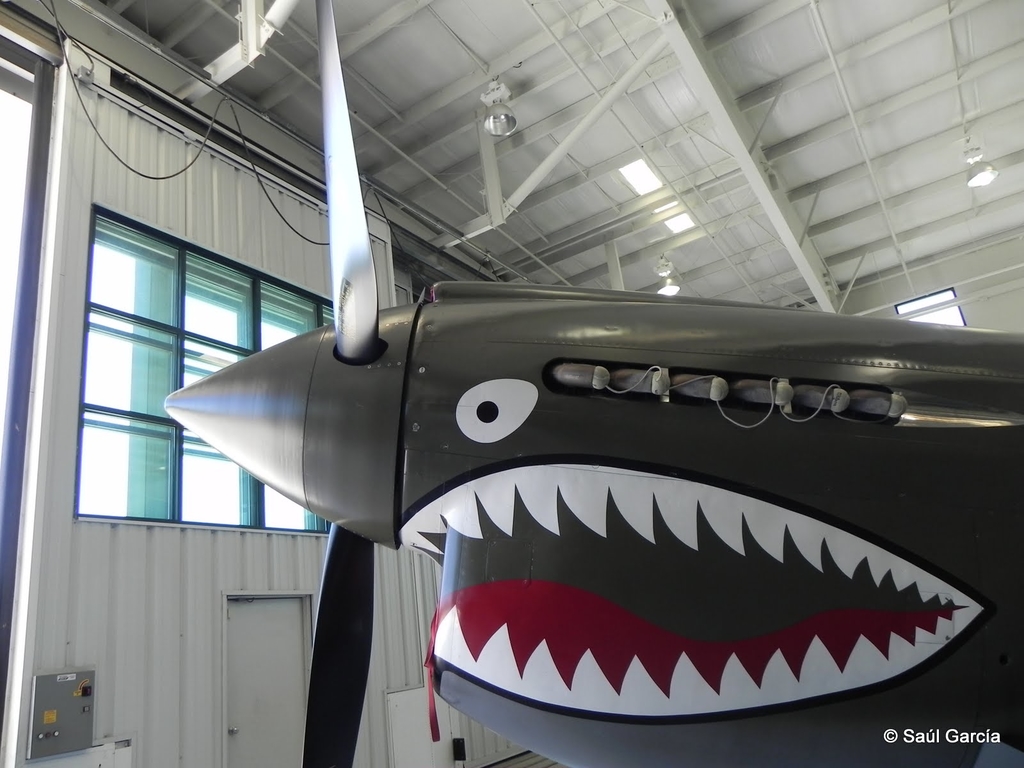 P40E25252014.JPG