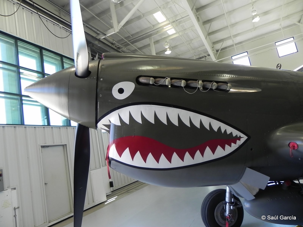 P40E25252015.JPG