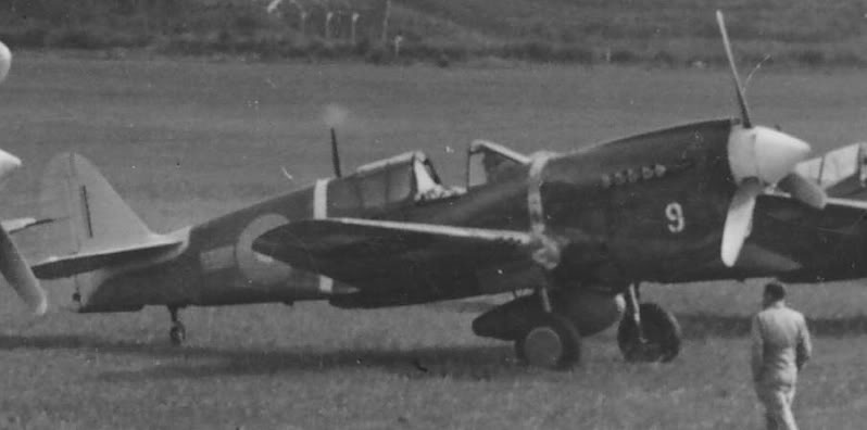 P40scropped.jpg