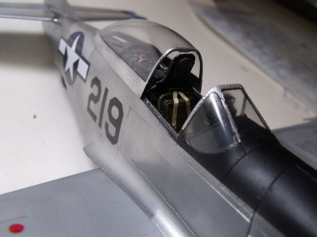 P51D101.jpg